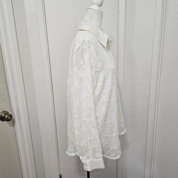 Pretty Garden Romantic Sheer Chiffon Textured Blouse Button Down Cream Small - Picture 4 of 16